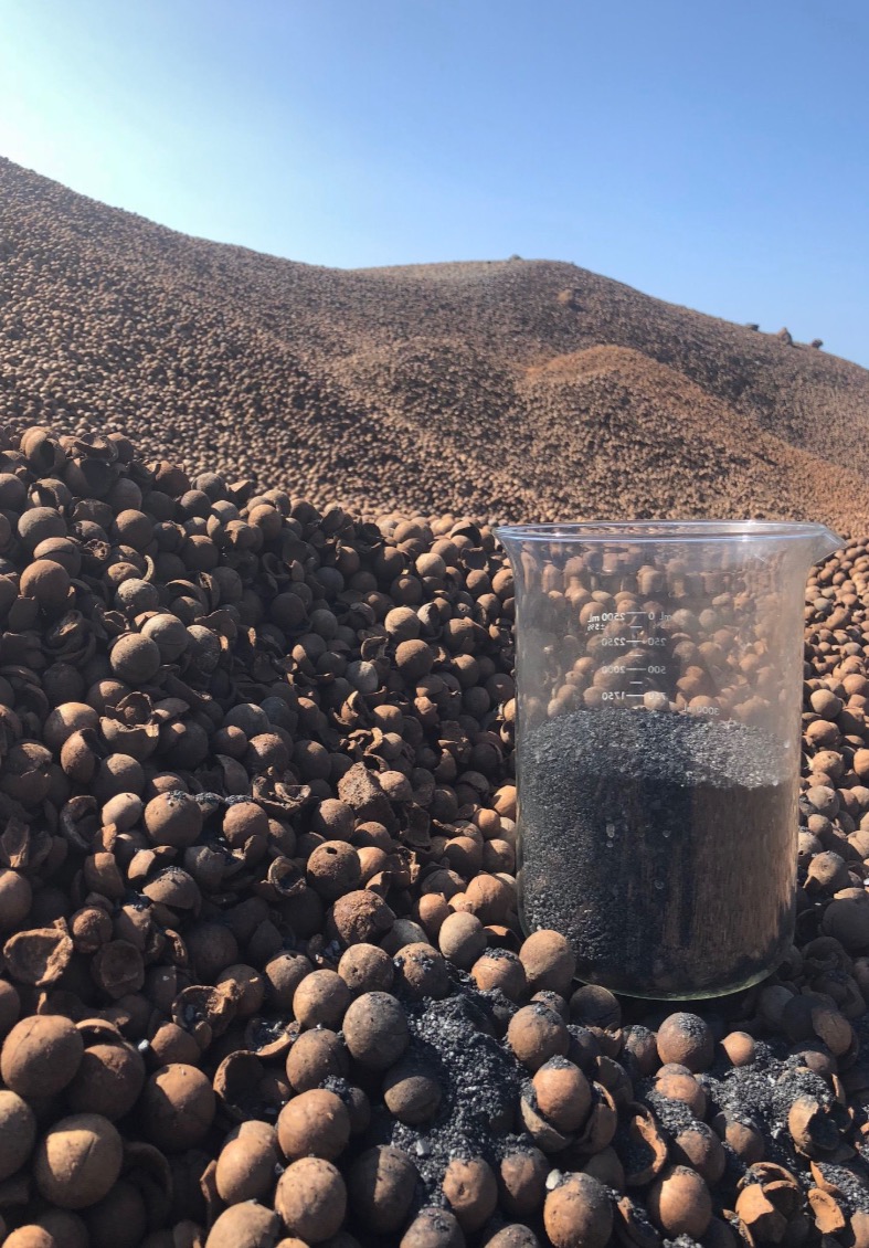 Beaker of finished macadamia nut shell biochar set among stockpiled macadamia shells at Kawaihae